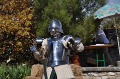 DSC_0216 (2)
